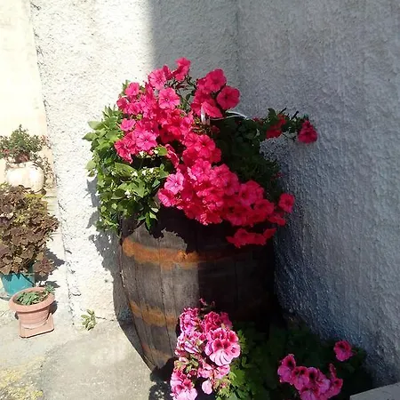 Baglio Bellavista Bed & Breakfast Torre Nubia